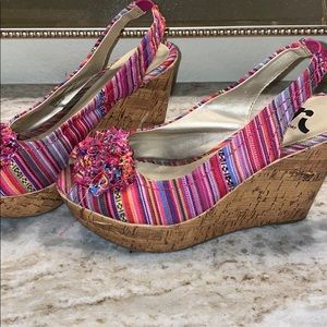 Colorful Wedges